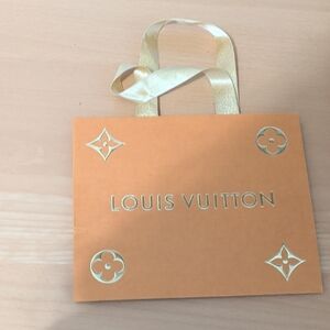 Louis Vuitton Orange and Gold Handbag